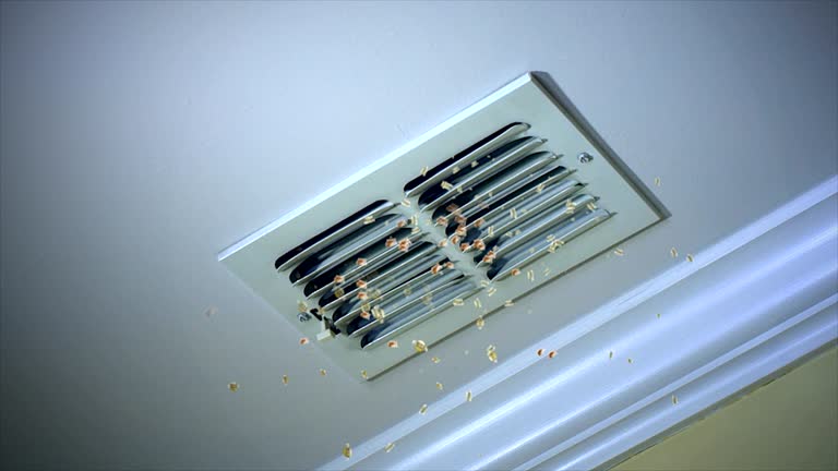 Best Affordable Air Duct Cleaning  in Perry, IA