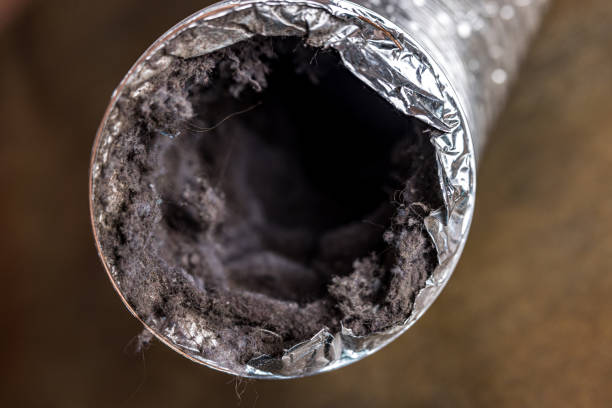 Best Air Duct Cleaning Near Me  in Perry, IA