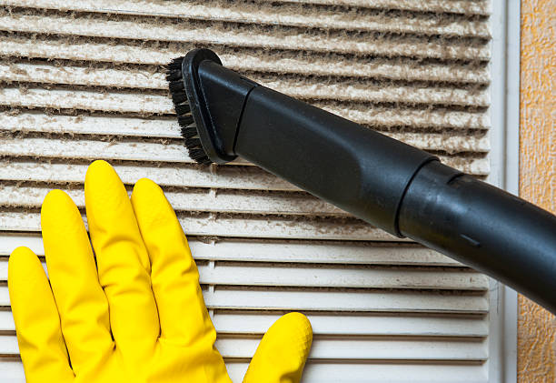 Best Professional Duct Cleaning Services  in Perry, IA
